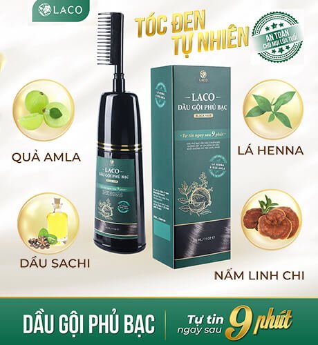 Dau Goi Phu Bac Laco 1